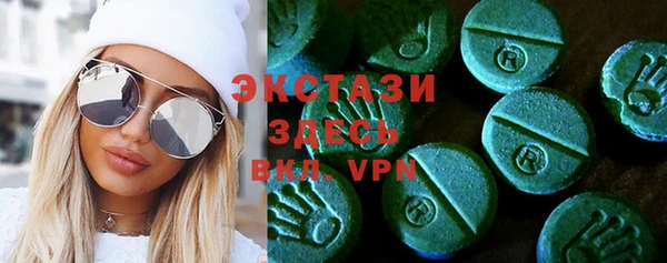 дживик Сосновый Бор