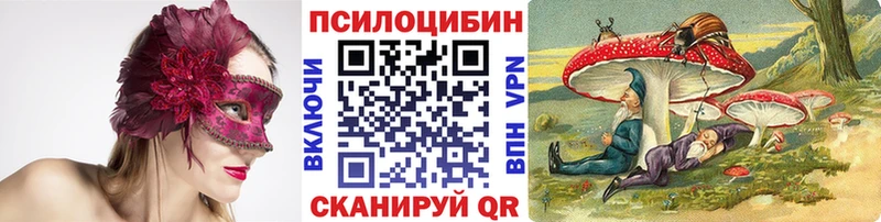 купить Дорогобуж ссылка на мегу ТОР Галлюциногенные грибы MAGIC MUSHROOMS