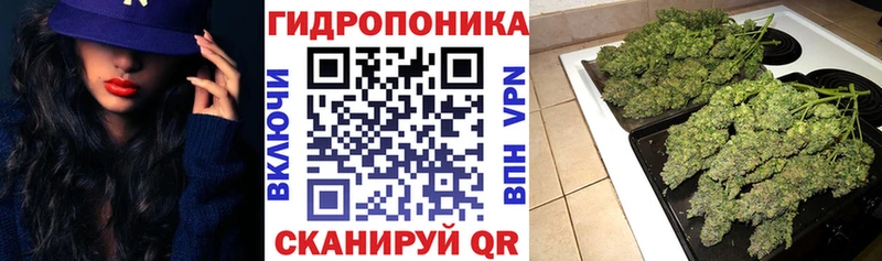 Канабис White Widow  kraken как войти  Дорогобуж 